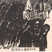 Acid-Reich-1[1].jpg