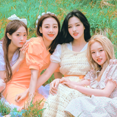 Summer Package Photobook