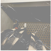 Avatar for dddogrules