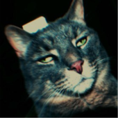 Avatar for mrZuba