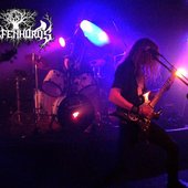 Wolfenhords Live