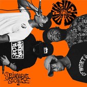 DELINQUENT SOCIETY