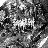 Gnasch - Infinihate