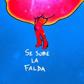 se sube la falda