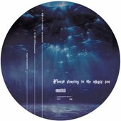 Forest sleeping in the abyss sea
