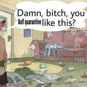 Damn Bitch