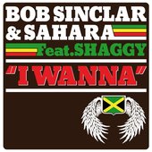 I wanna (feat. Shaggy) - Single