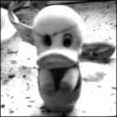 Avatar for notjack