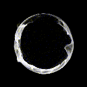Avatar for sbfse