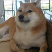 benneman_ 的头像