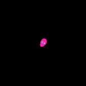 LastFM profile picture for @morgue