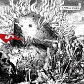 Animal Fires