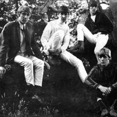 The Chevlons