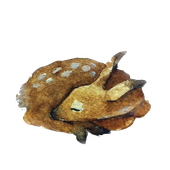 Avatar for eahrth