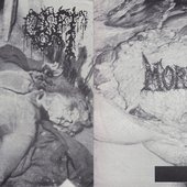 Gut / Morphea