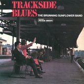 Trackside Blues (feat. Peter Green)