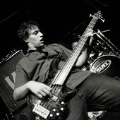 Fox : Bass - By D. Marafon