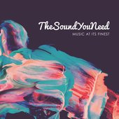 TheSoundYouNeed, Vol. 1