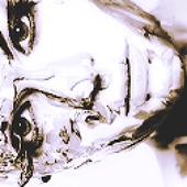 Avatar for skilled_
