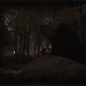 Stormwald - Stormwald