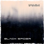 iamm - black spider