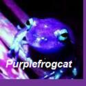 Avatar de purplefrogcat