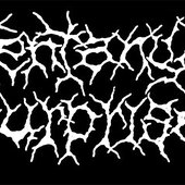 logo fent.jpg