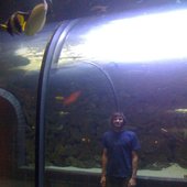 Dallas Aquarium, Fishsticks...