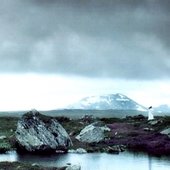 FjeldComingHome (kopia).jpeg