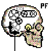 Avatar for PlasticFork