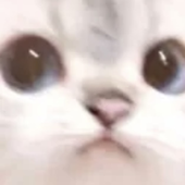 Catmuncherzoey 的头像