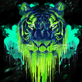 Avatar för TigerSml