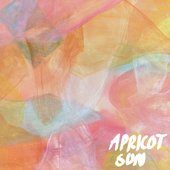 Apricot Sun