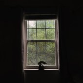 Uninvited