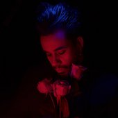 When The Roses Die