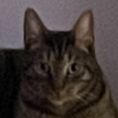Avatar für emmmm12928