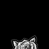 IMG_1269.png