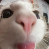 ajdvajdvajdv 的头像