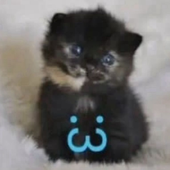 Avatar für soobgrl