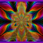trance1orange 的头像