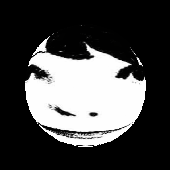 Avatar for melancholyXD