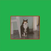 Screenshot_20200622-134043~2.png