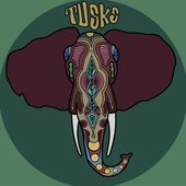 Tusks elephant logo.
