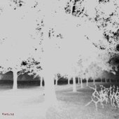 art2