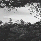 20250618_023830.png