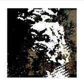 Controlled Dissonance