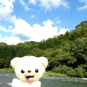 MeadowSun 的头像