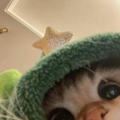 Avatar for catofu
