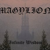 Infinite Wisdom
