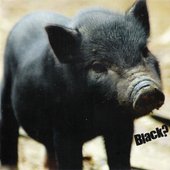 Black?